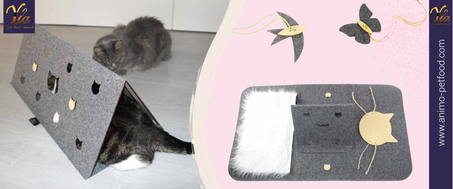 tapis-d-activite-pour-chat